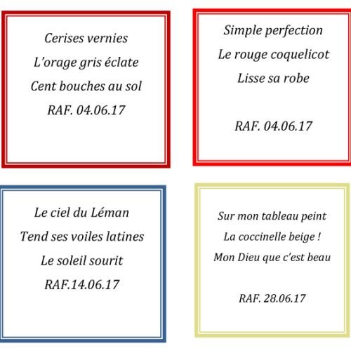 HAIKU Aout 2017 - 1