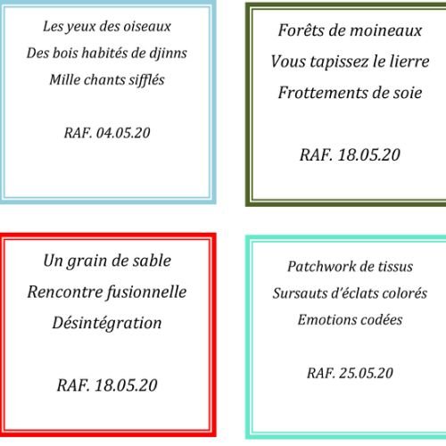 HAIKU Juillet 2020 - 1
