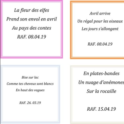 HAIKU Juin 2019 - 3