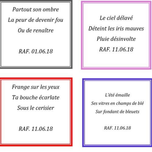 HAIKU Aout 2018 - 1
