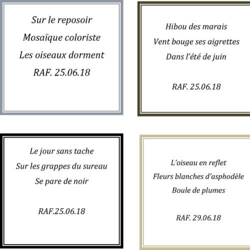 HAIKU Aout 2018 - 3