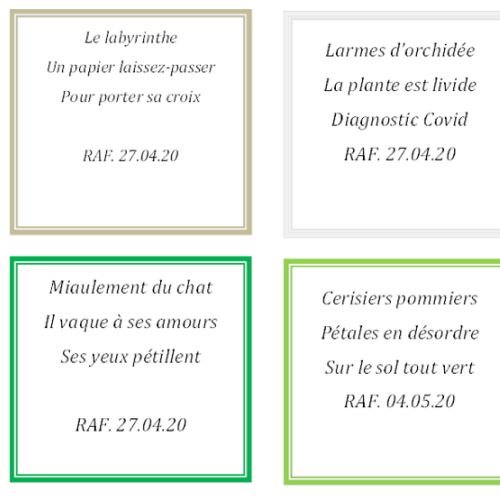 HAIKU Juin 2020 - 2