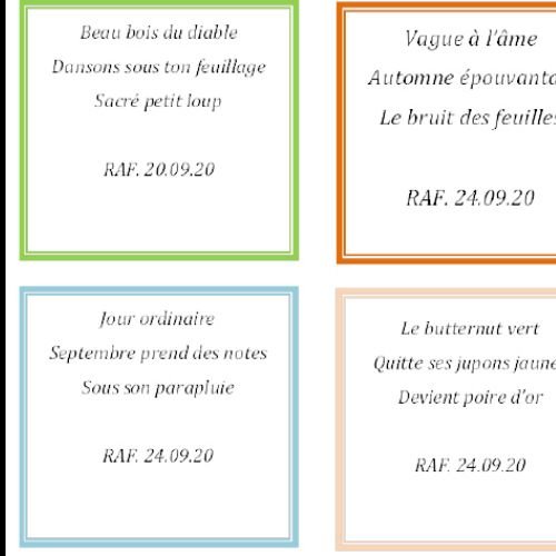 HAIKU Novembre 2020 - 1