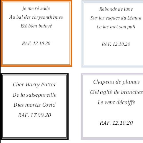 HAIKU Novembre 2020 - 3